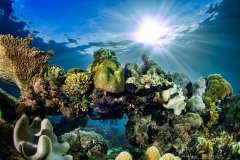 Anda Underwater