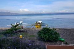 Buceo Anilao