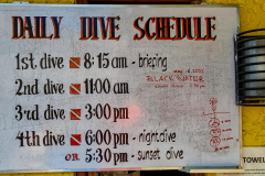 Buceo Anilao