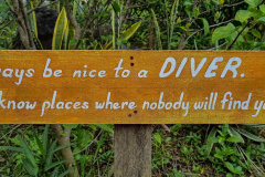 Buceo Anilao