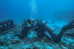 Tauchen Cayo Largo