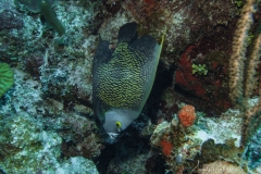 Cayo Largo
