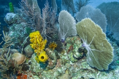Cayo Largo
