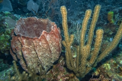 Cayo Largo
