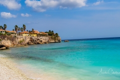 Curacao Reef Mari