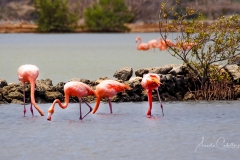 Curacao