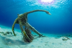 Tauchen Curacao