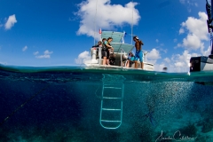 Tauchen Curacao
