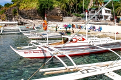 Tauchen um Apo Island eine Tagestour