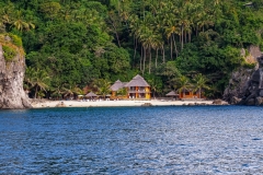 Tauchen um Apo Island eine Tagestour