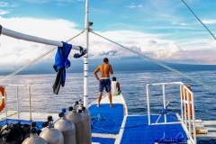 Tauchen um Apo Island eine Tagestour