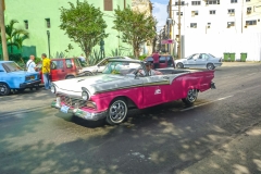 P1020338-2