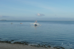 Moalboal-2007-23