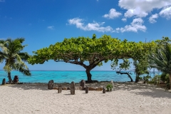 Moorea-Island-2