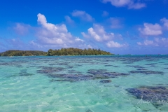Moorea-Island-4