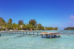 Moorea-Island-5