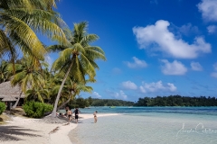 Moorea-Island-6
