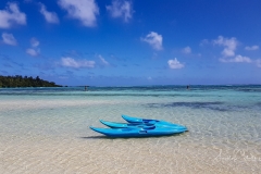 Moorea-Island-7