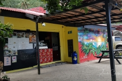 Moorea-Island-8