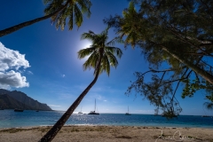 Moorea