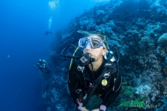 Sea-Pics.de