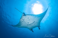 Sea-Pics.de