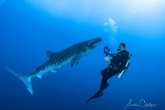 Sea-Pics.de