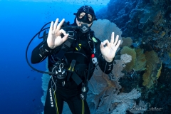 Sea-Pics.de