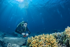 Sea-Pics.de