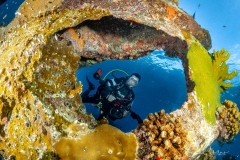 Sea-Pics.de