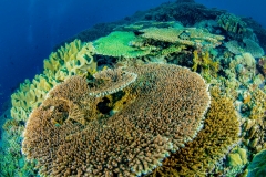 Nunukan Island