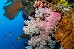 Nunukan Island