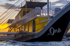 Ona-5151241