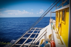 Ona-5160155