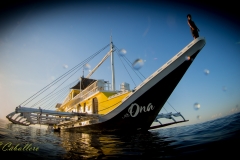 Ona-5161286