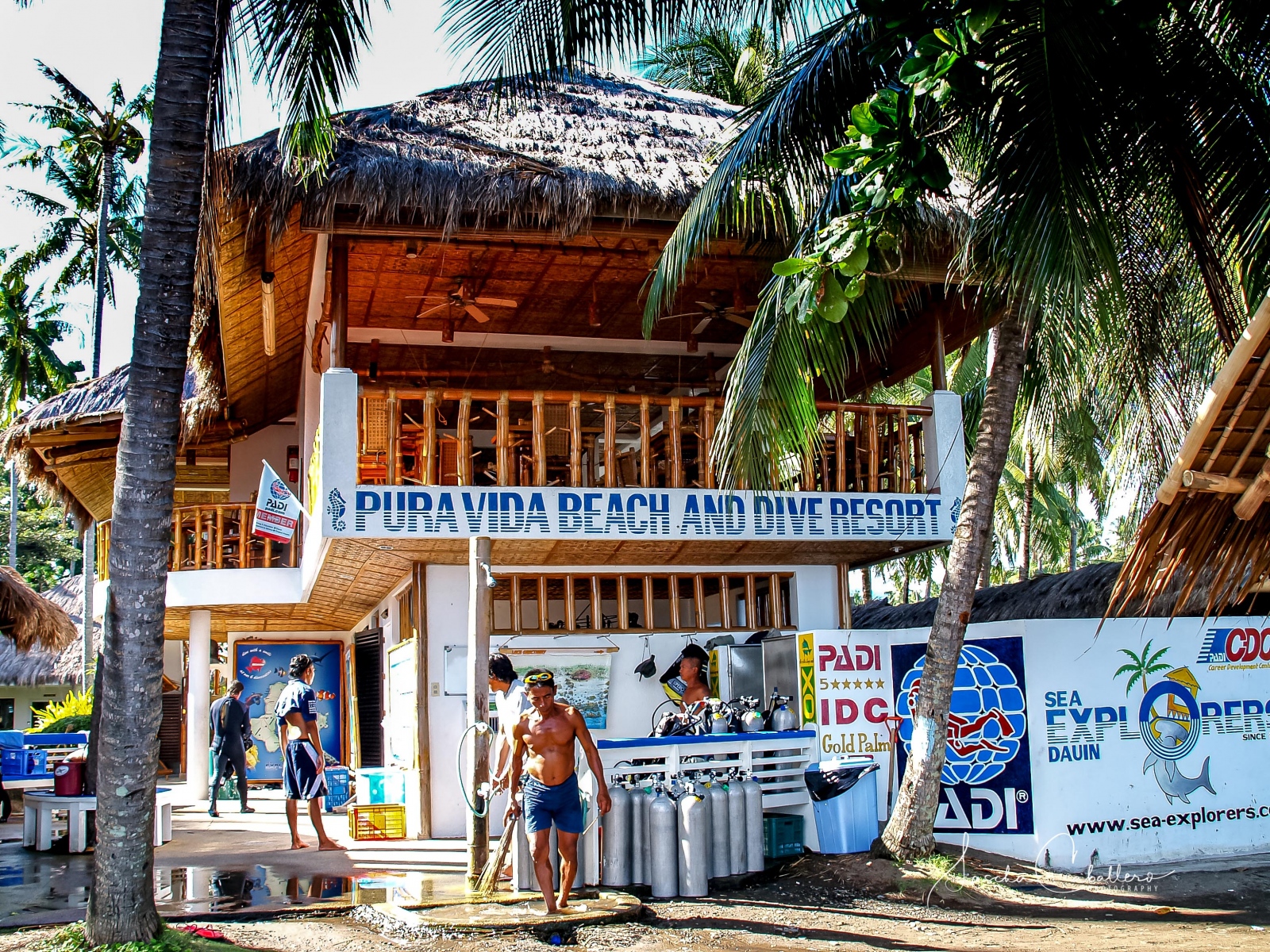 Pura Vida Beach & Dive Resort