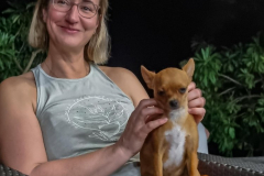 auf den Hund gekommen