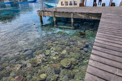 Jetty Salibay