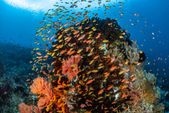 Sali Bay Unterwasser