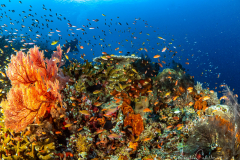 Sali Bay Unterwasser