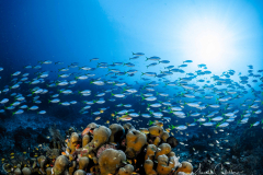 Sali Bay Unterwasser