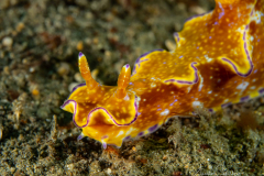 Sali Bay Unterwasser