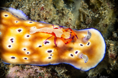 Sali Bay Unterwasser