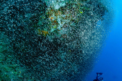 Sali Bay Unterwasser
