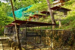 Christians Papageien Zucht