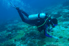 Manta Bowl
