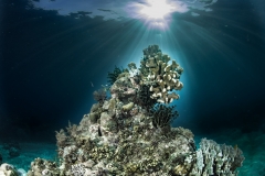 Amun Ini Diving Bohol