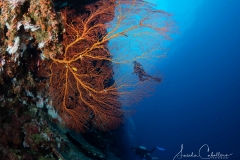 Christmas Island