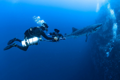 Sea-Pics.de