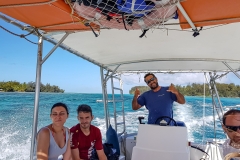Whale Watching